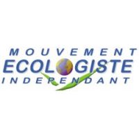 Logo MEI