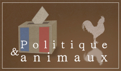 Politique-animaux.fr: Quelle place nos politiciens accordent-ils aux animaux ? 