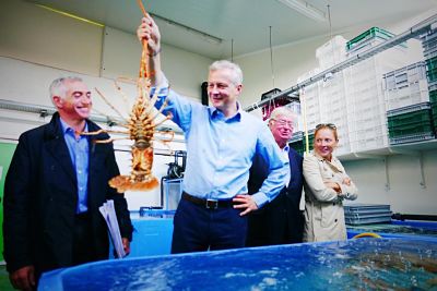 Bruno Le Maire langouste antennes