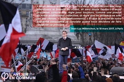 JLM Constitution animaux