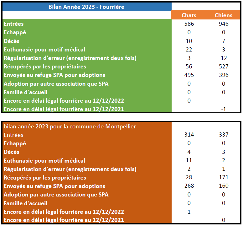 bilan fourrière montpellier 2023