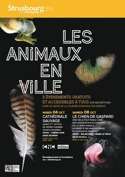 affiche-jma-strasbourg-2022