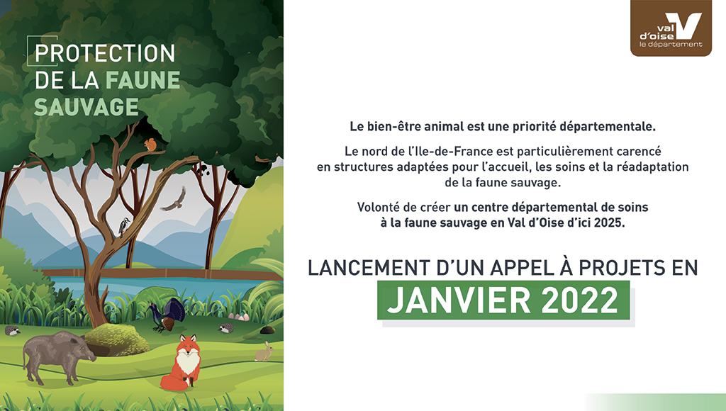 banniere-faune-sauvage