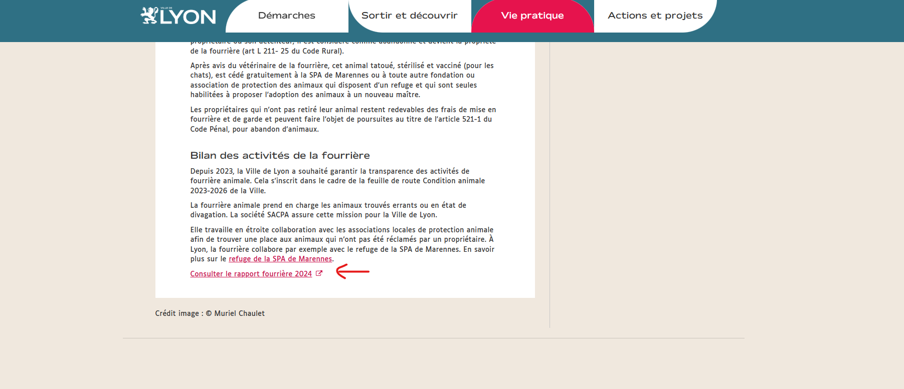 fourriere animale lyon 2024