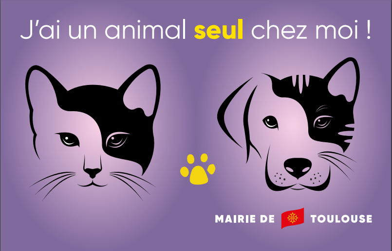 Carte-Animal-seul-chez-moi-Toulouse