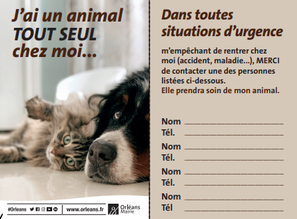 Carte-animal-seul-Orleans