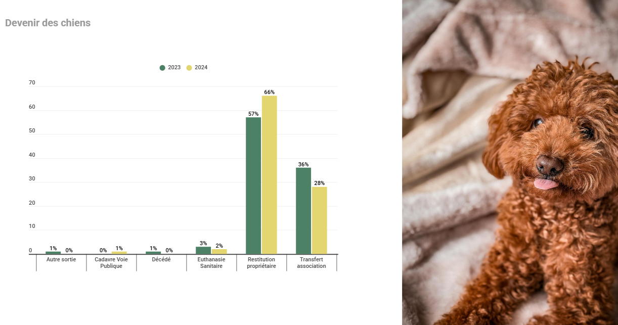 devenir chiens lyon 2024