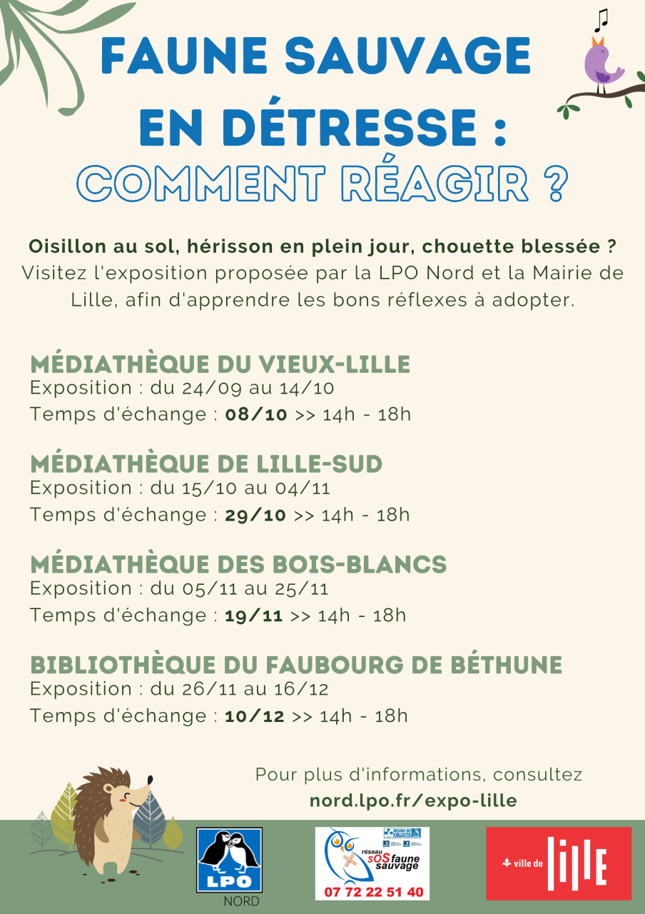 faune-sauvage-en-detresse-Lille
