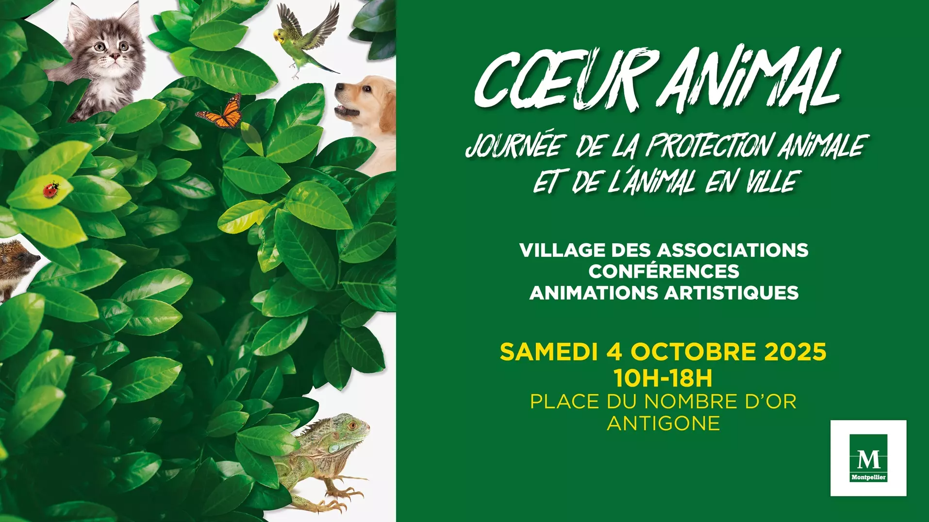 FAV Montpellier 2025