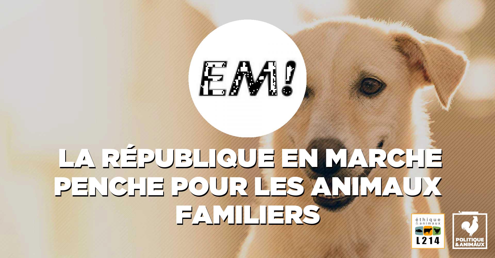 Animaux de compagnie La République en marche Politique