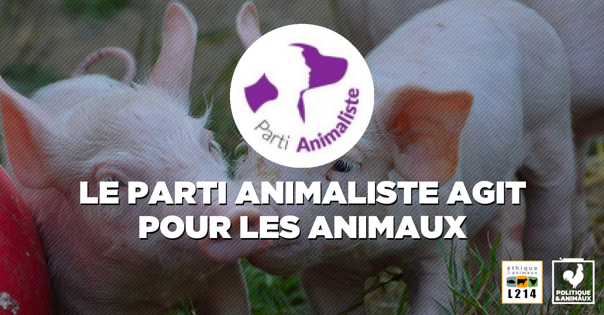 Le Parti animaliste Politique & animaux