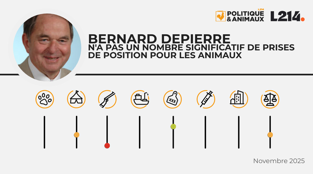 Bernard Depierre Politique & Animaux