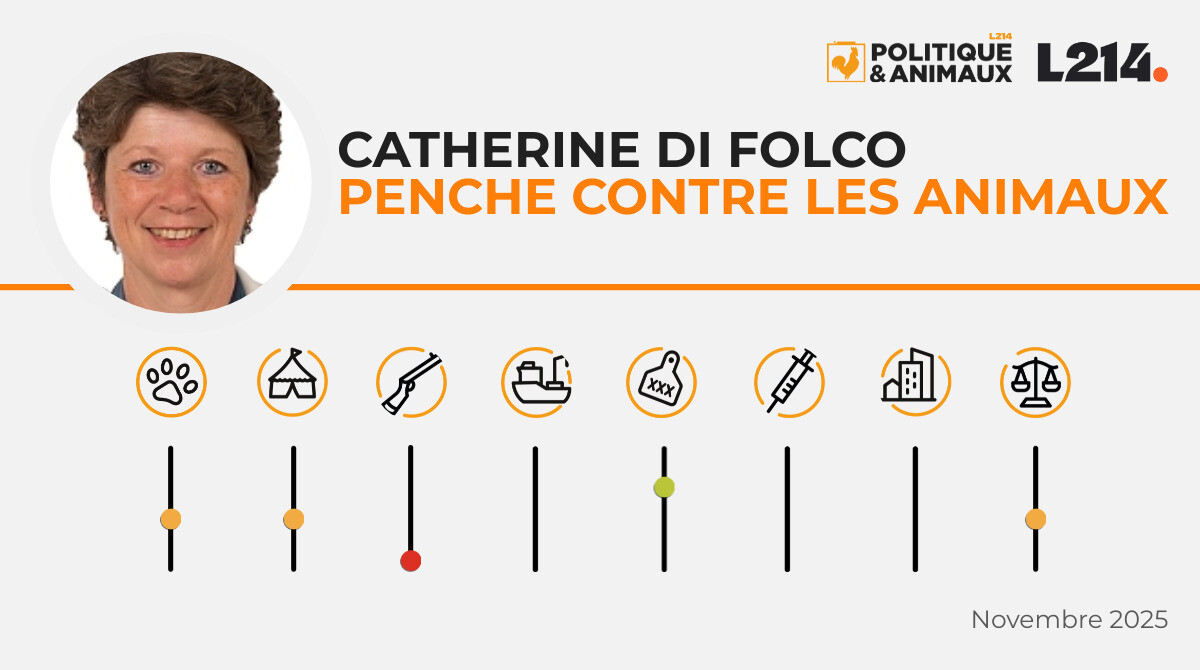 Catherine Di Folco Politique & Animaux