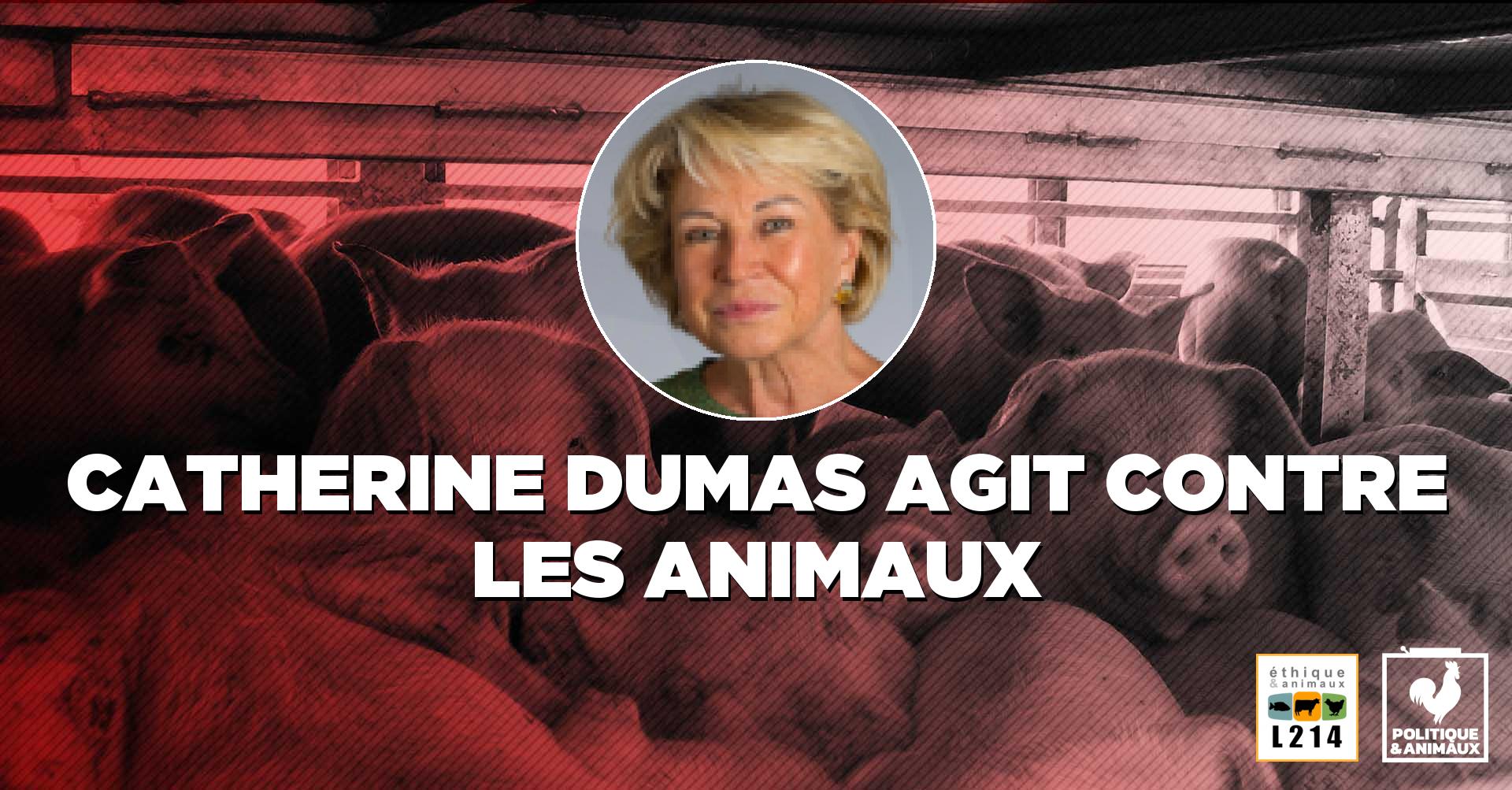 Catherine Dumas Politique & animaux