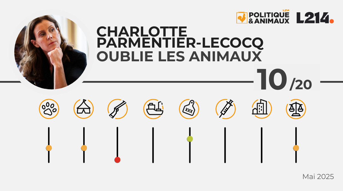 Charlotte ParmentierLecocq Politique & Animaux