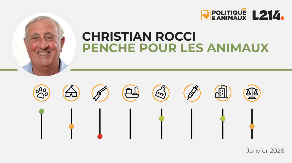 Christian Rocci - Politique & Animaux