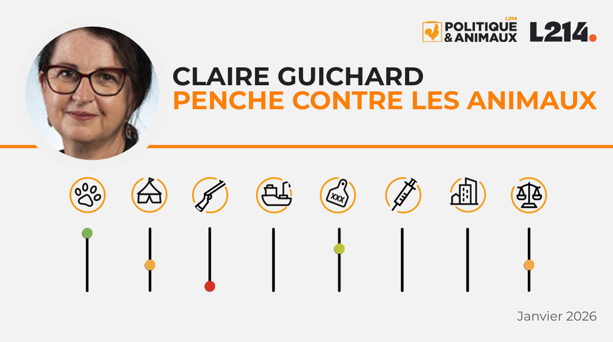 Claire Guichard - Politique & Animaux