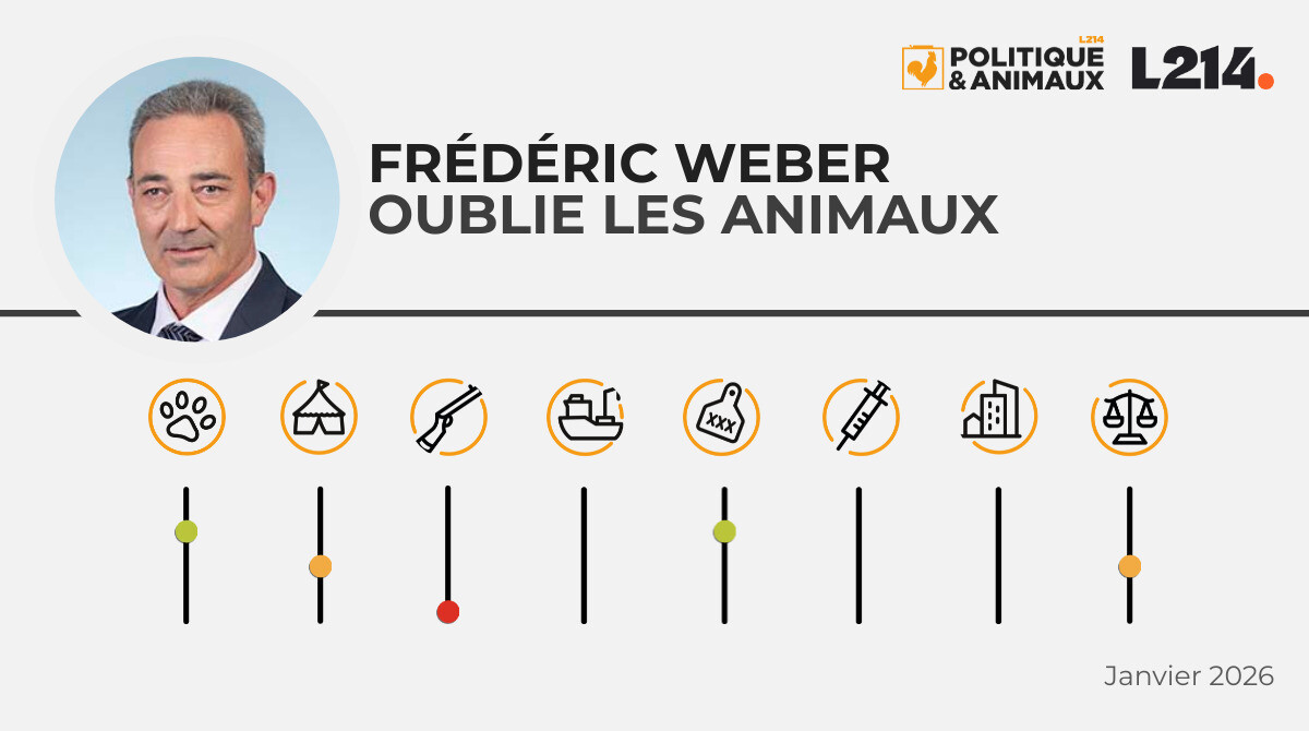 Frédéric Weber - Politique & Animaux