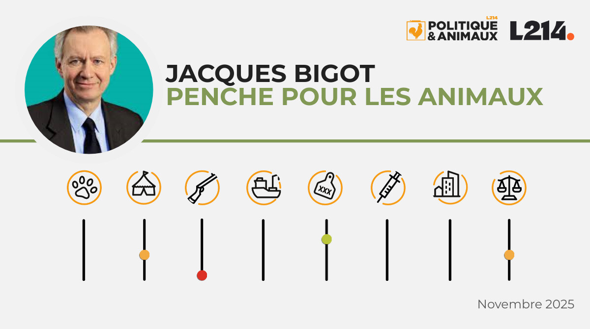 Jacques Bigot Politique & Animaux