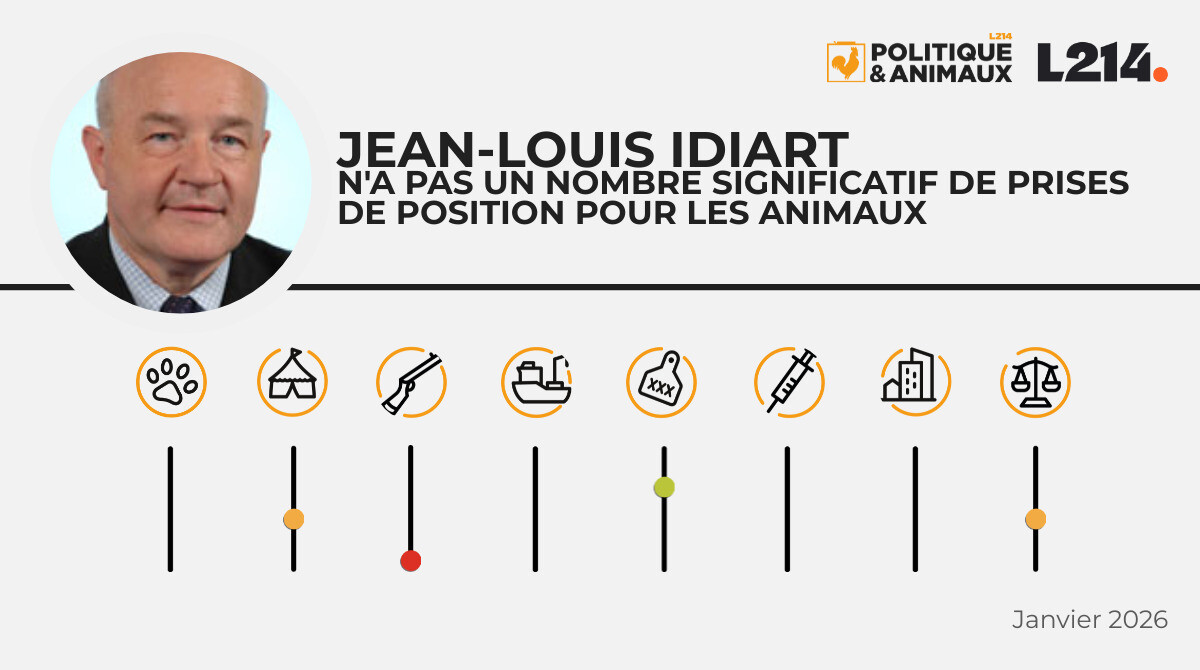 JeanLouis Idiart Politique & Animaux