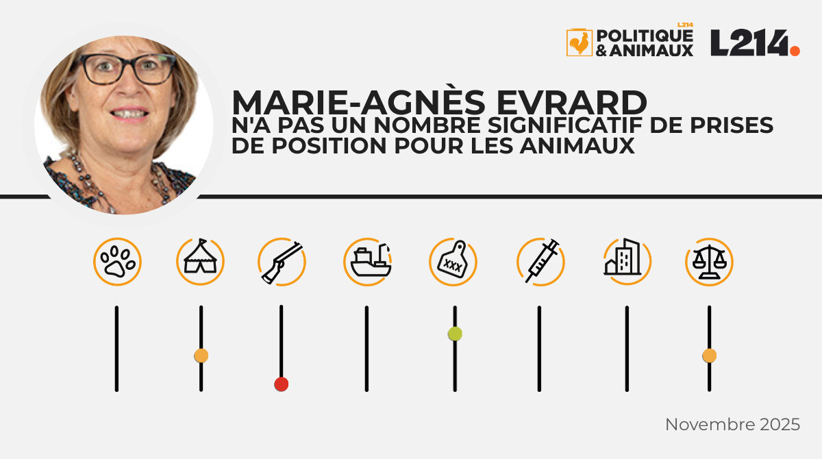 MarieAgnès Evrard Politique & Animaux