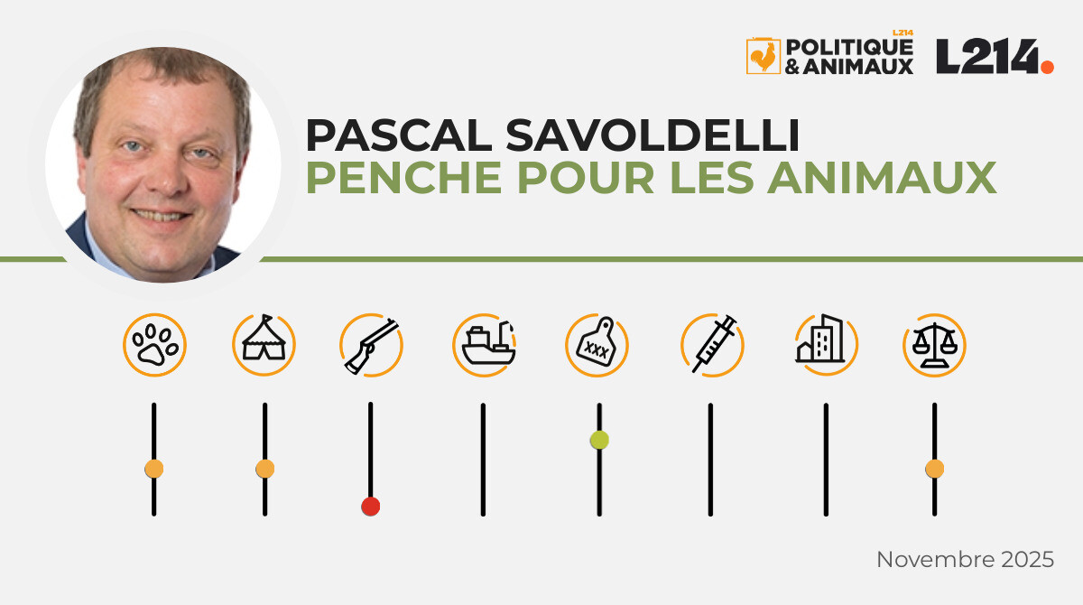 Pascal Savoldelli Politique & Animaux