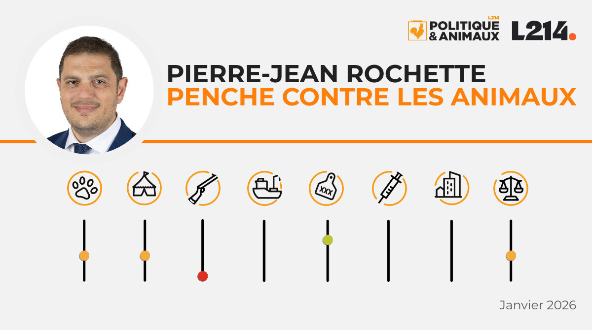 Axel Rochette Pierre-Jean Rochette - Politique & Animaux