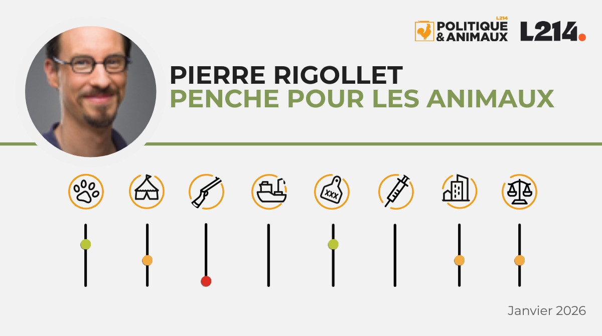 Pierre Rigollet - Politique & Animaux