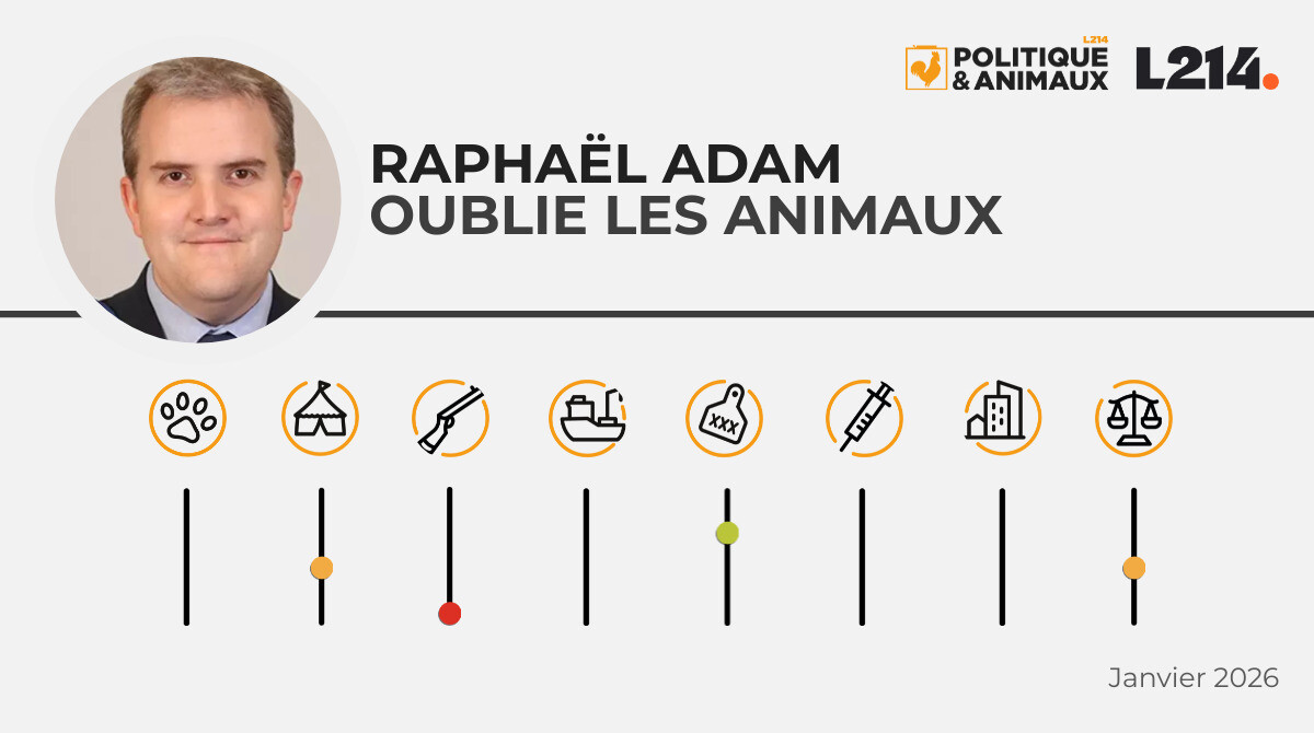 Raphaël Adam - Politique & Animaux