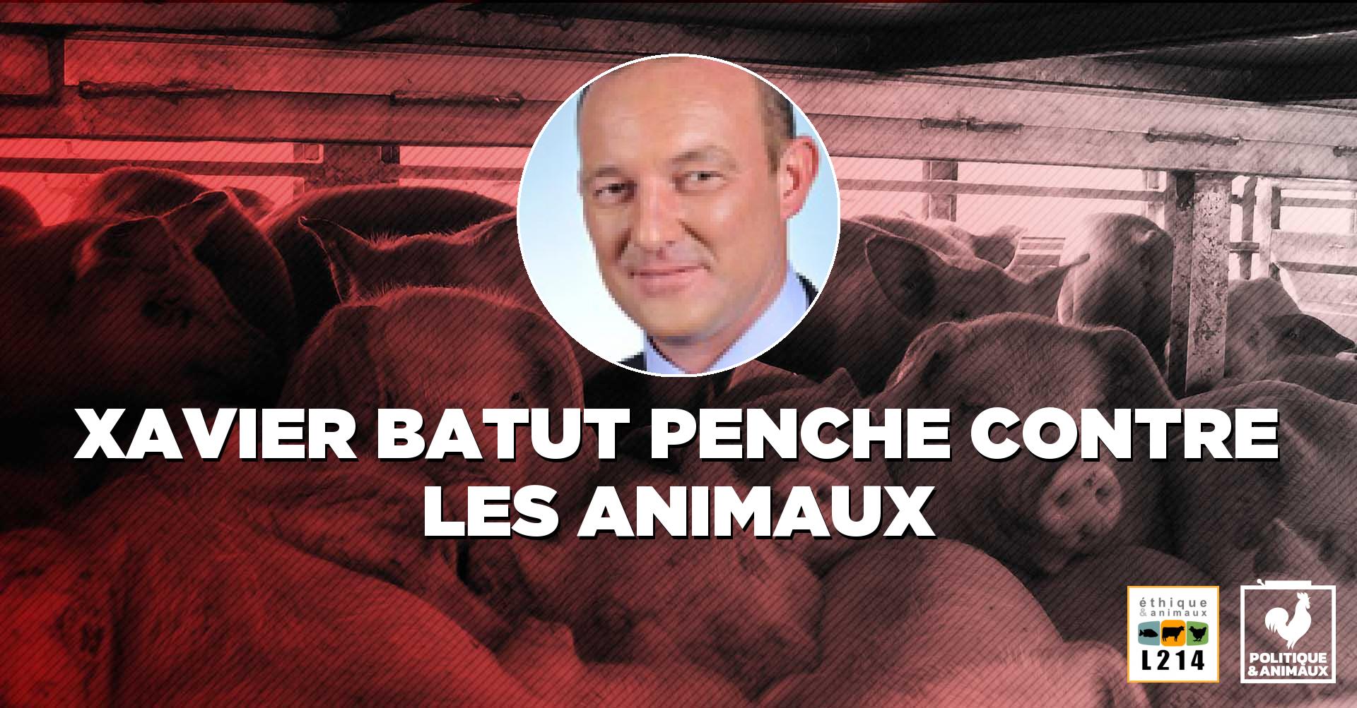 Xavier Batut Politique & animaux