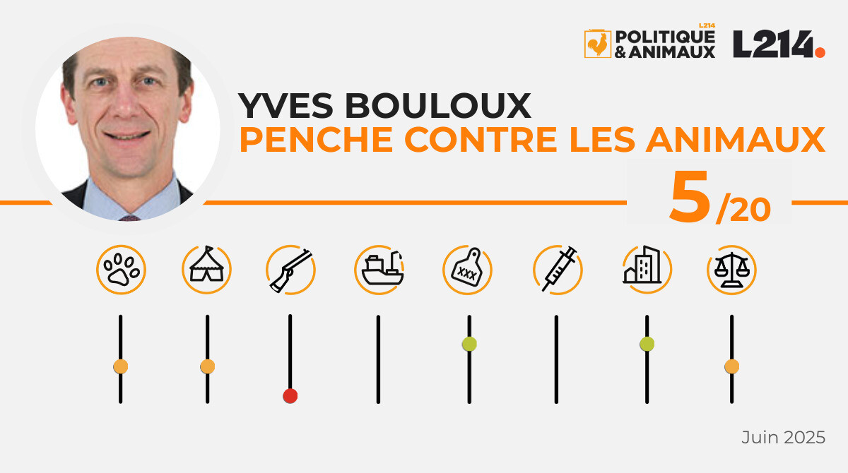 Yves Bouloux Politique & Animaux
