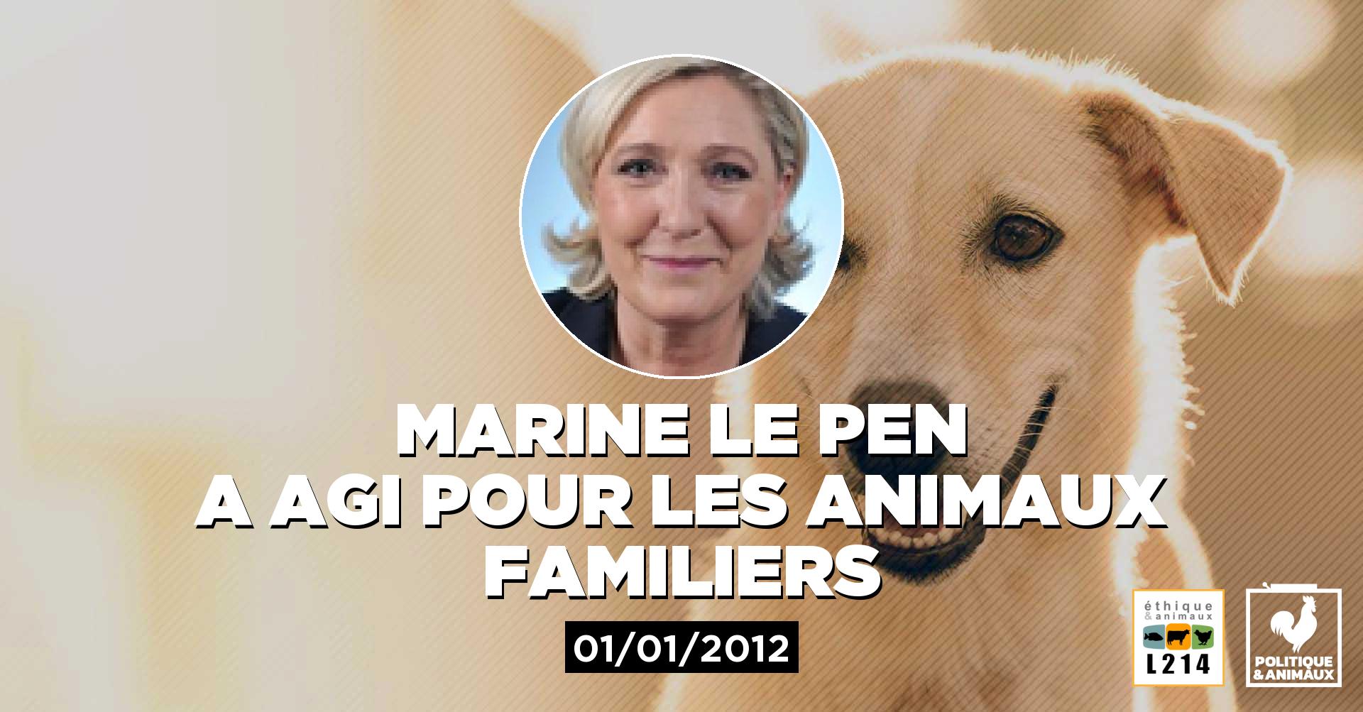 Lutte contre les abandons d'animaux Politique & animaux