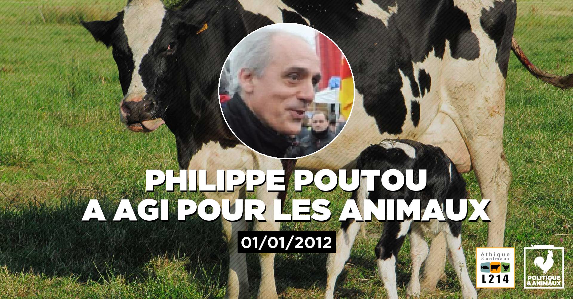 Pour un renforcement des lois dans le transport des animaux Politique