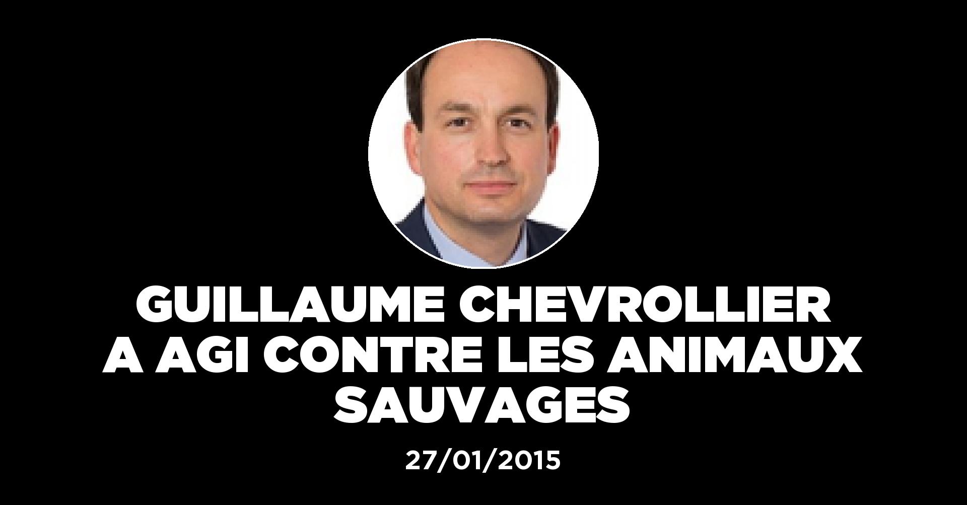 Guillaume Chevrollier souhaite prolonger la chasse aux oies jusqu'à la fin février Politique