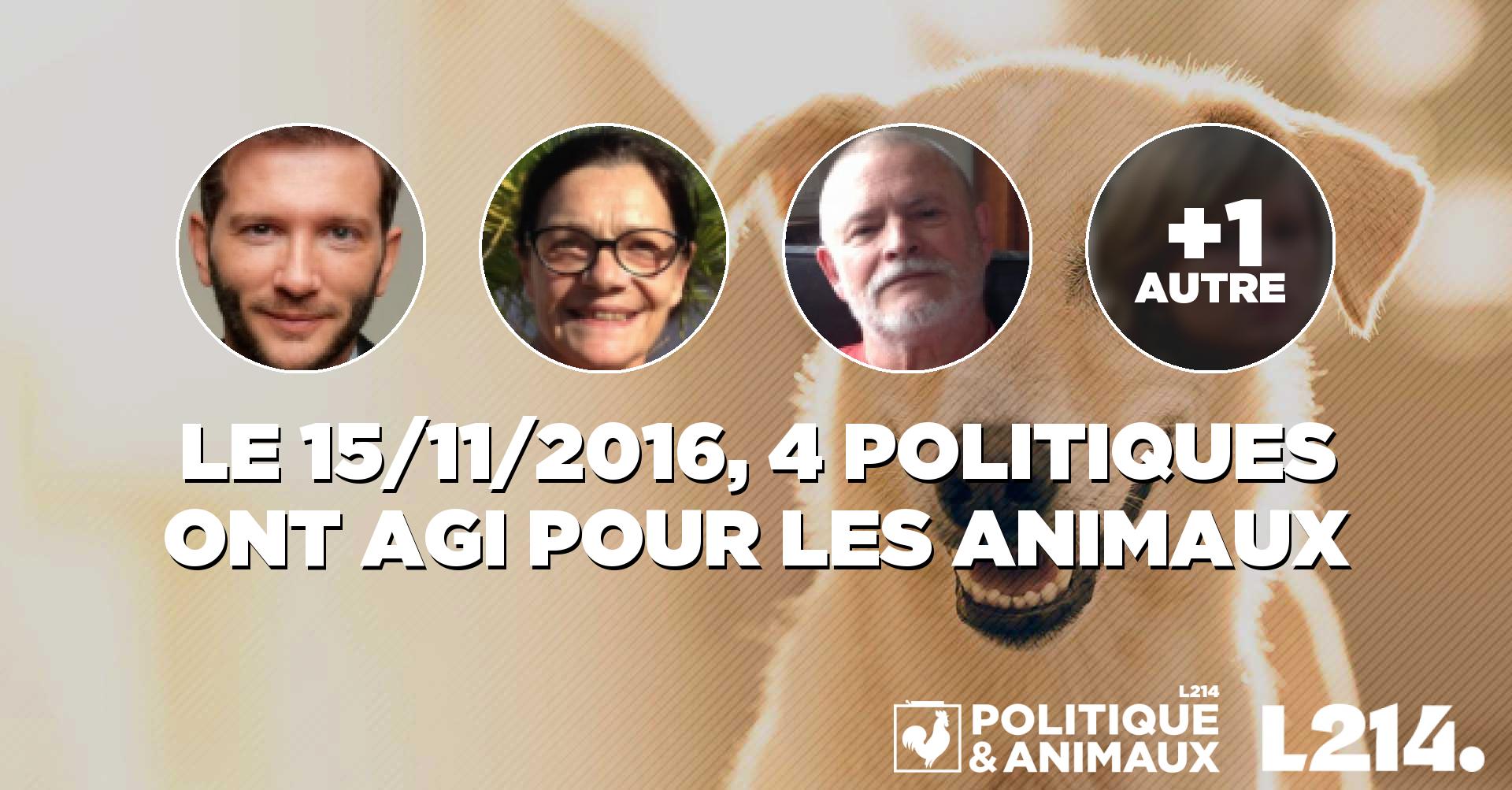 Abolition de la consommation de viande de cheval