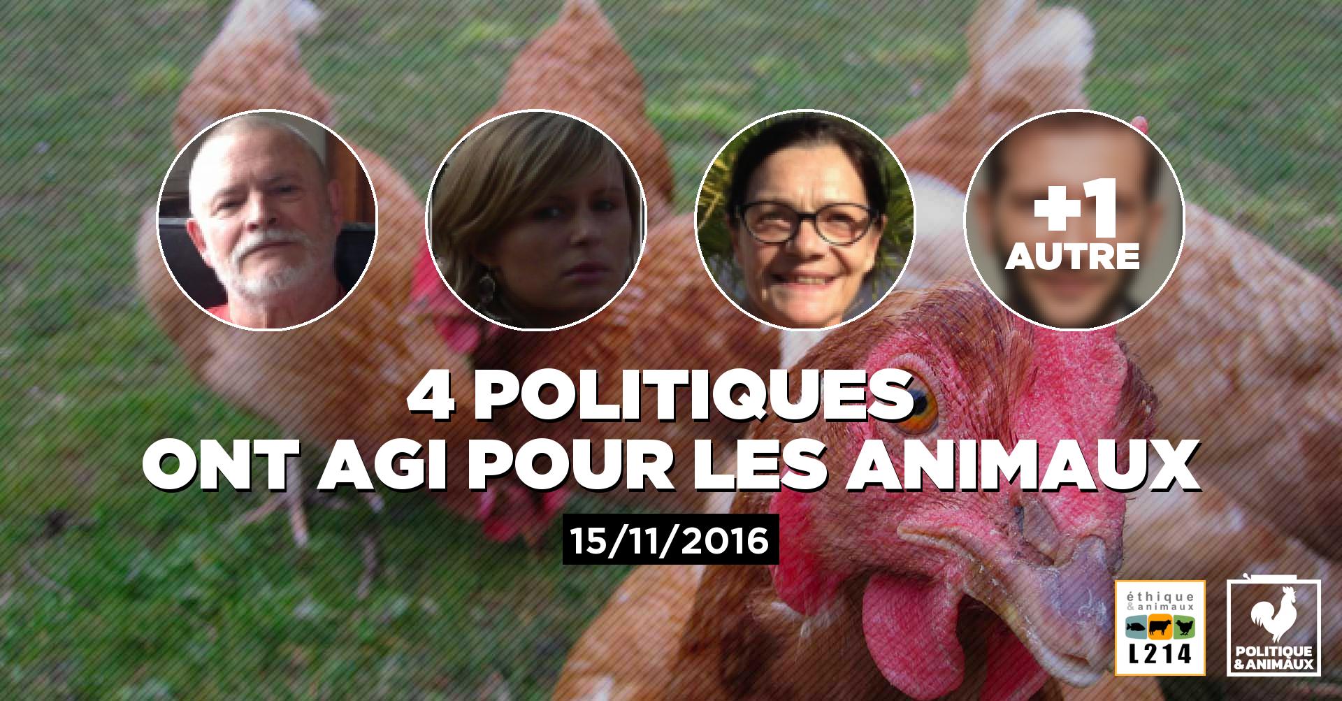 Abolition des mutilations pratiquées en élevage Politique & Animaux
