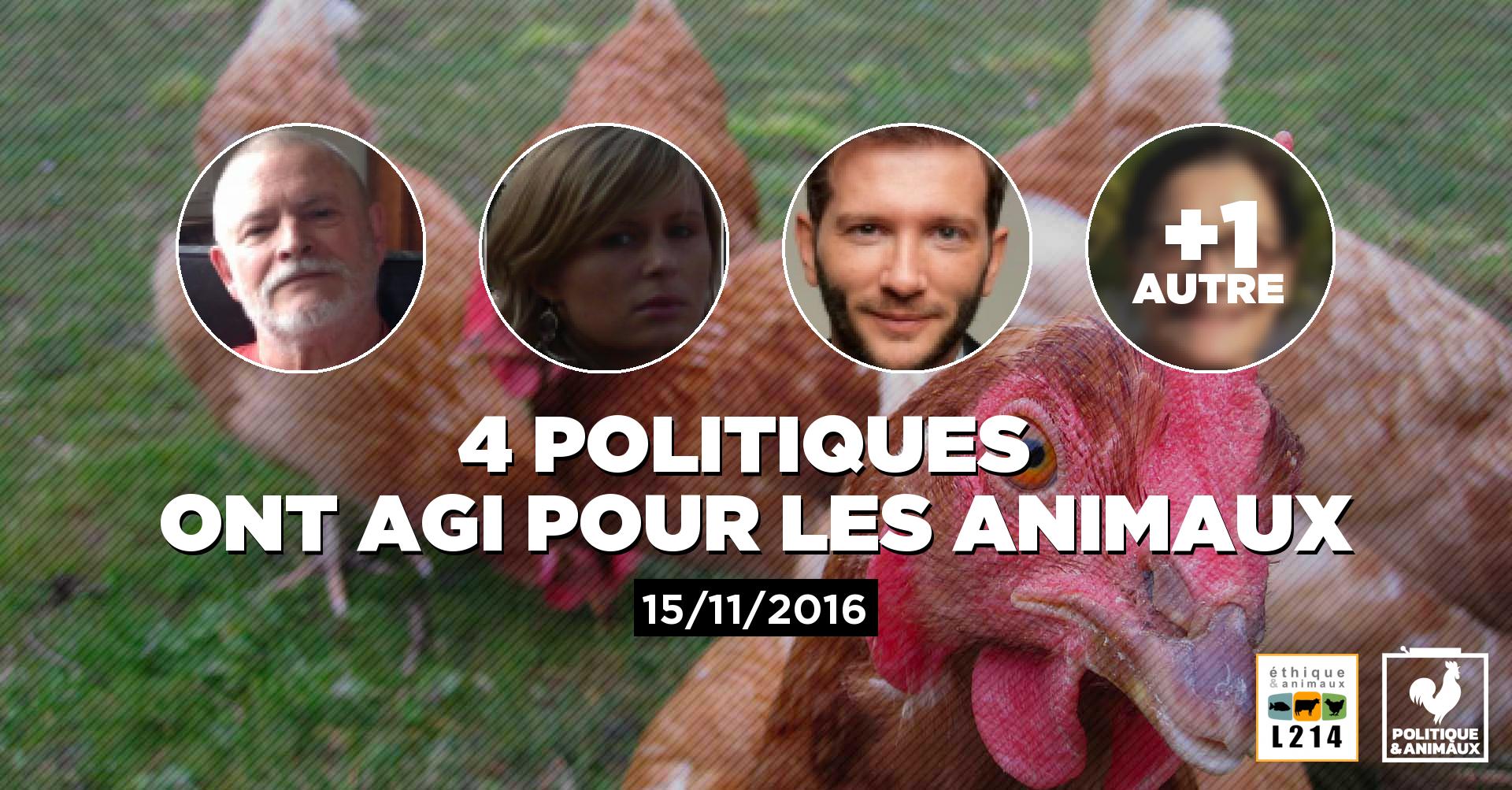 Application de la loi avec tolérance zéro pour l'abattage