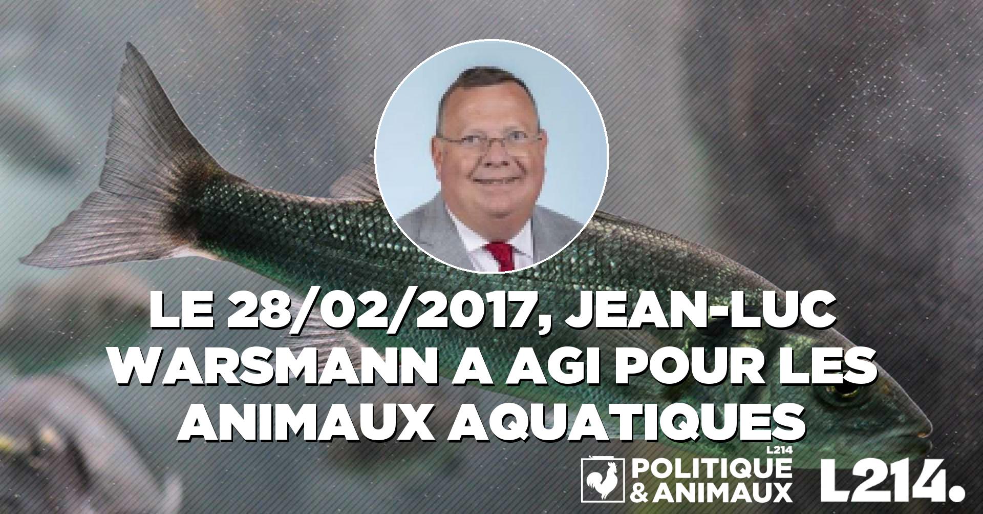 Le député Jean-Luc Warsmann alerte sur la nécessité de prendre des ...