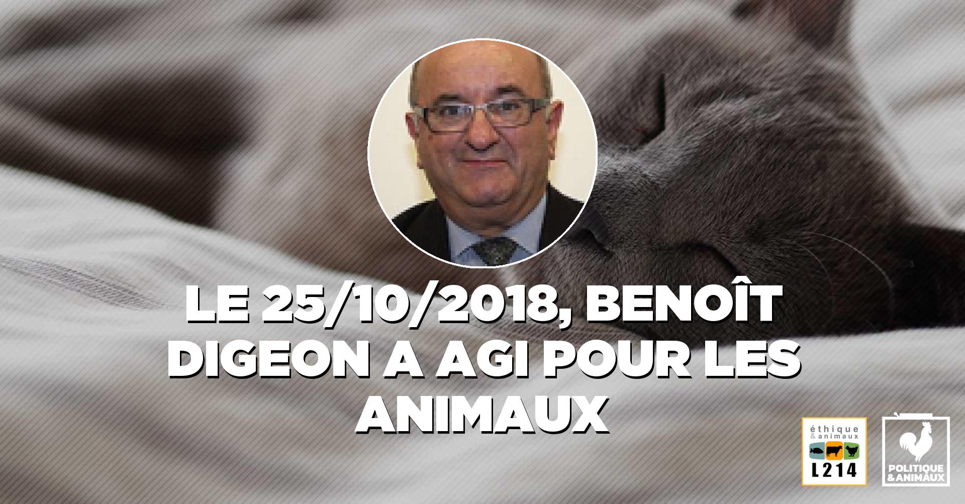 La mairie de Montargis a mis en place un service de