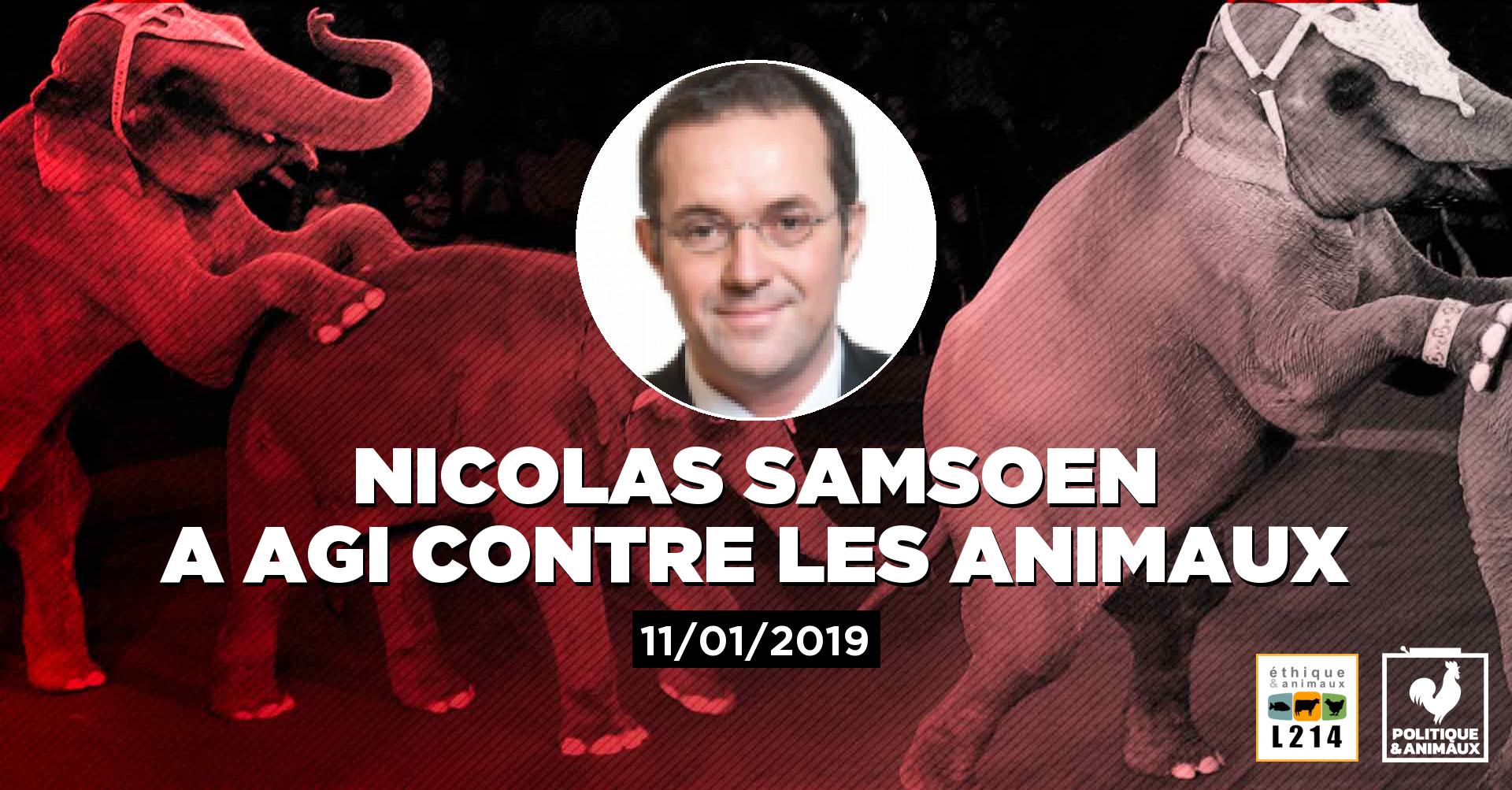 Festival international du cirque de Massy la municipalité prend deux
