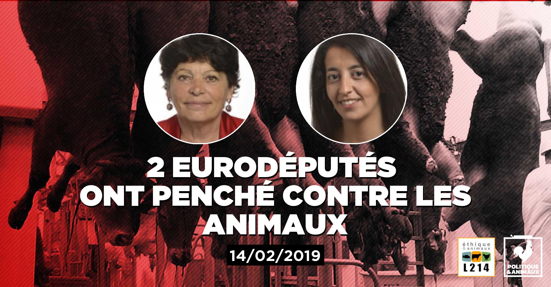 Michèle Rivasi et Karima Delli se sont abstenues lors du vote sur le principe d'interdire l ...