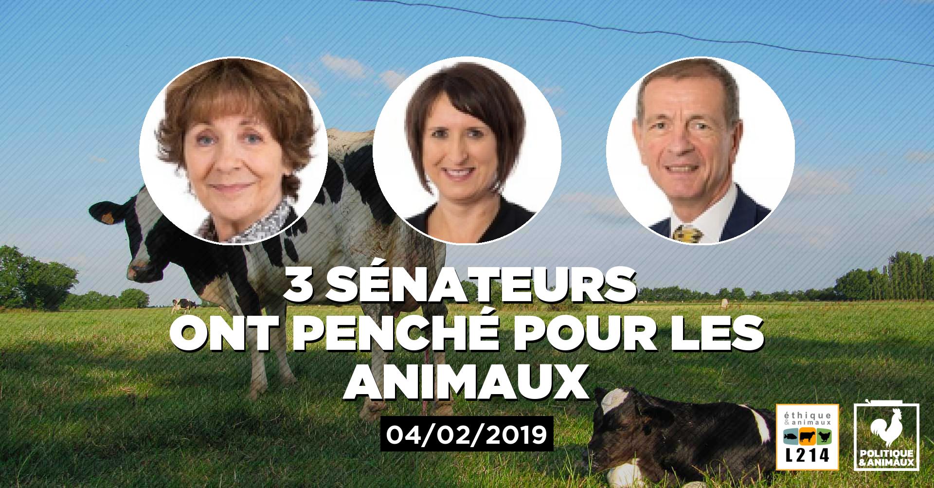 Proposition de loi sénatoriale N°284 visant à mettre en