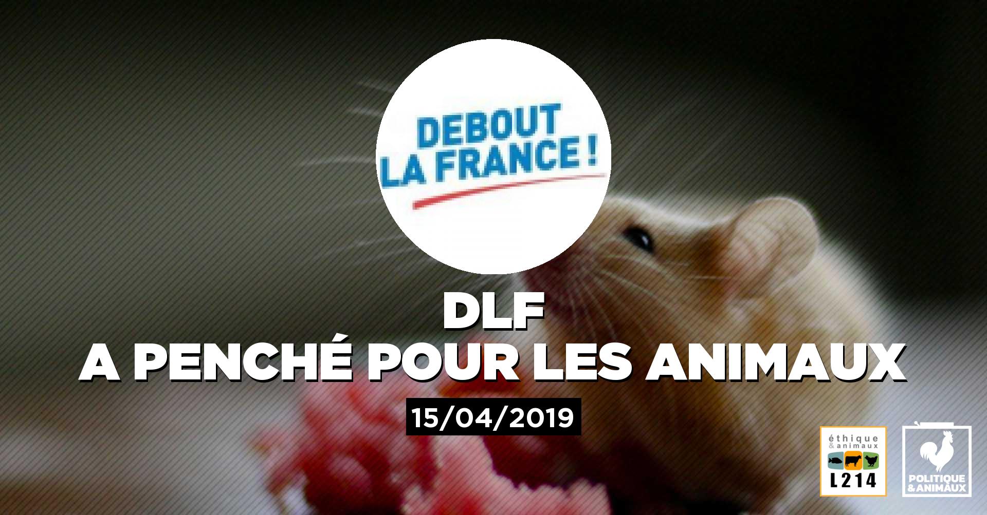 Européennes 2019 : DLF veut «stopper les expérimentations animales ...