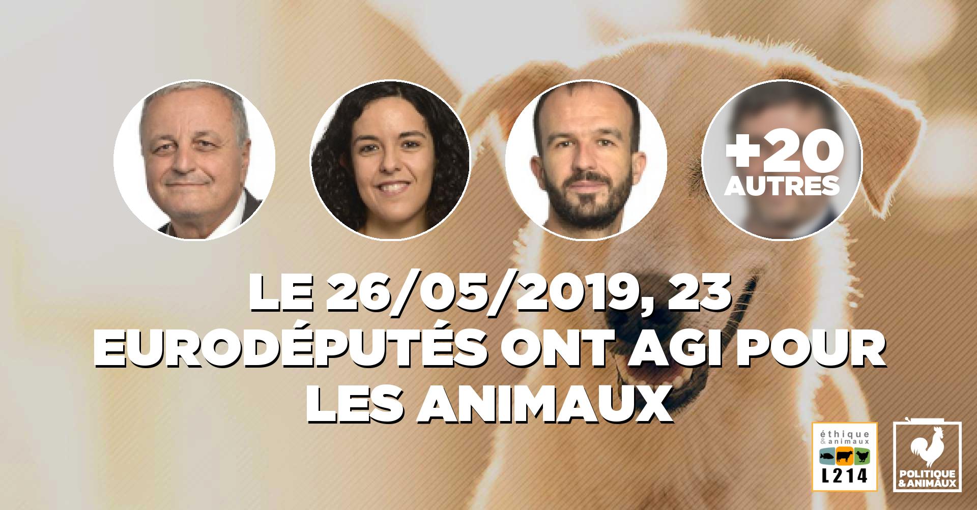 23 eurodéputés se sont engagés à faire adopter une «liste