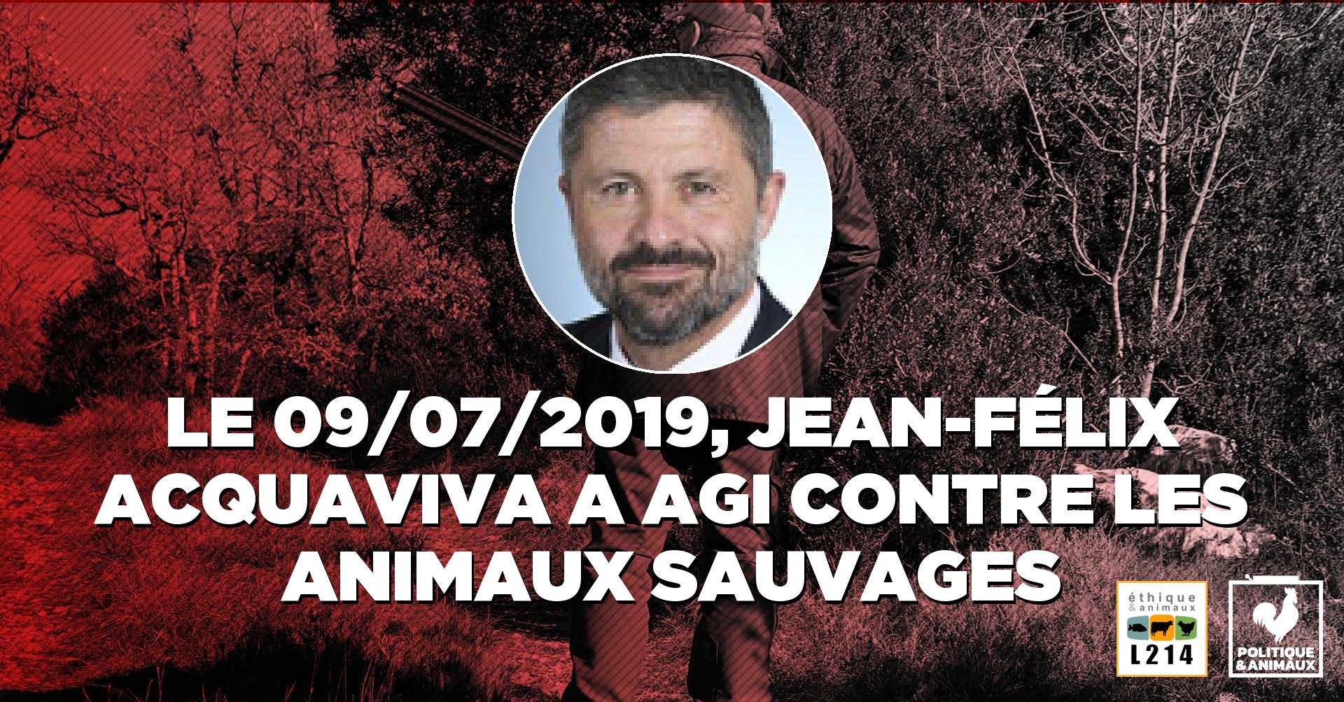 Périodes d'ouverture et de fermeture de la chasse en Corse JeanFélix