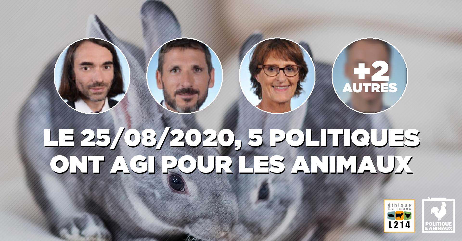 Proposition De Loi 3293 Visant Mettre Fin L levage Intensif L 
