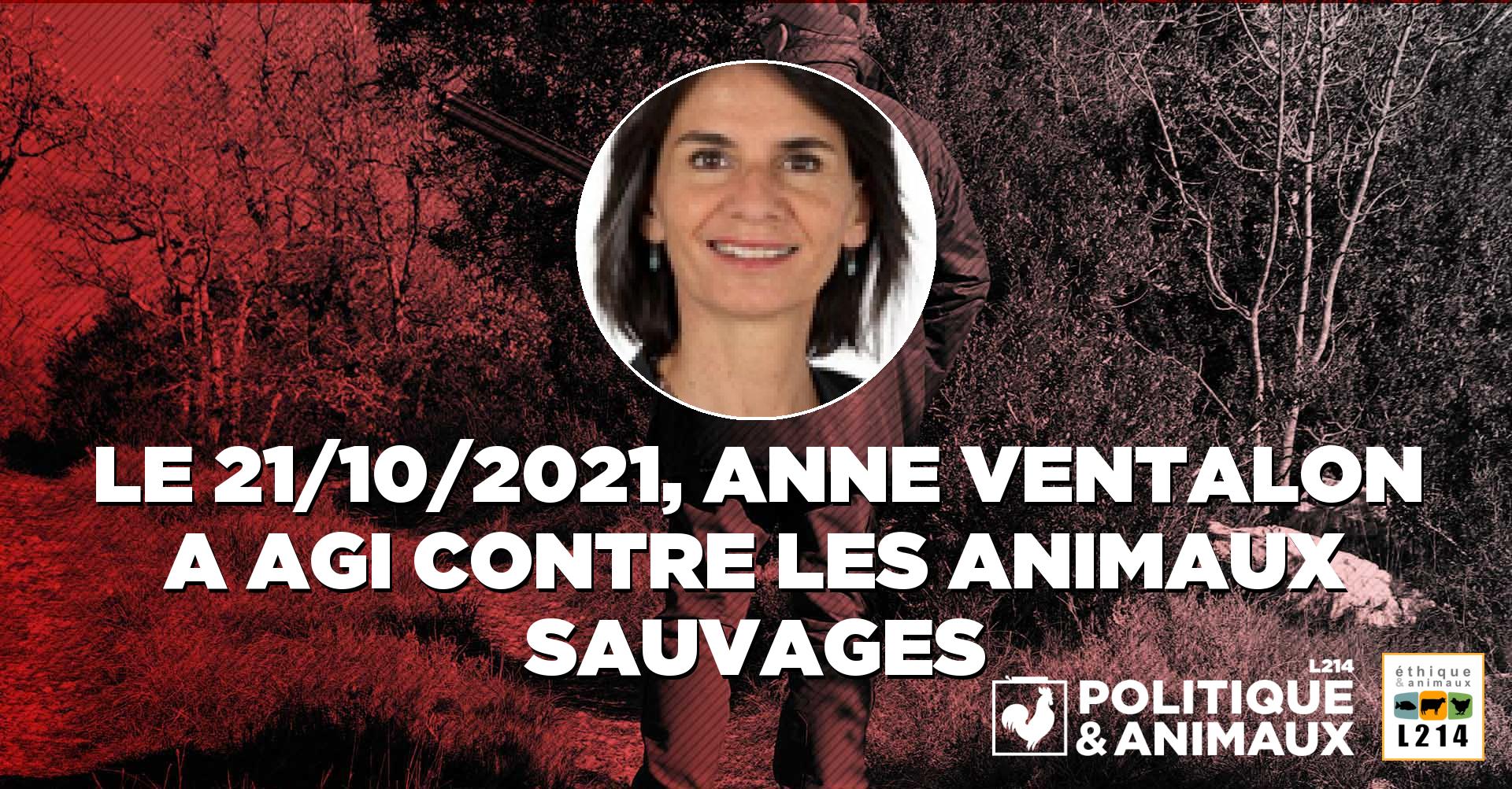 La sénatrice Anne Ventalon demande au gouvernement d'augmenter les tirs