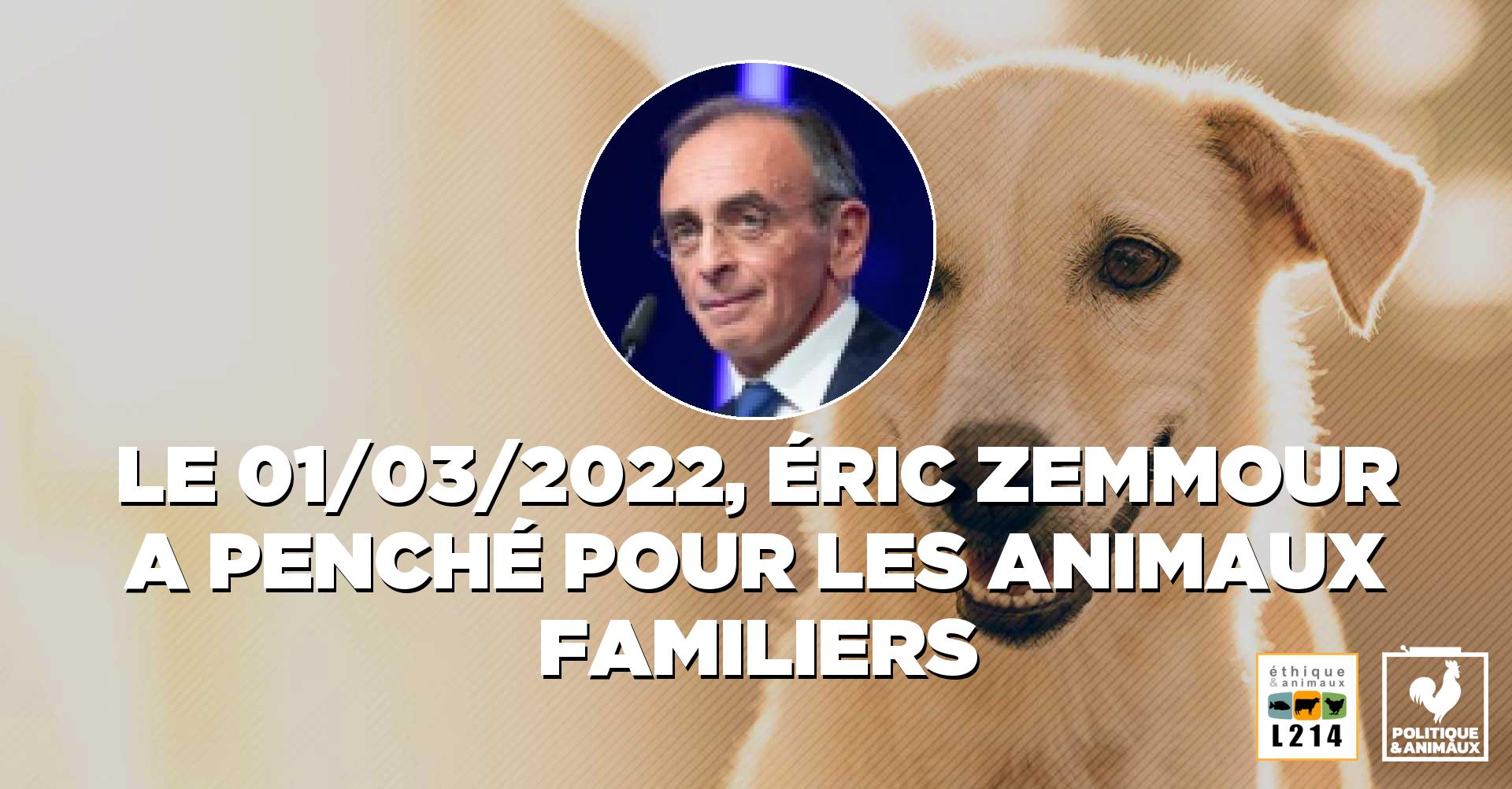 Dans son programme, Éric Zemmour prévoit de «lutter activement contre