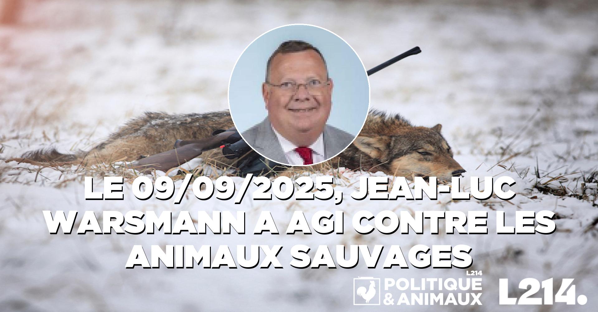 Jean-Luc Warsmann demande au gouvernement de faciliter les tirs d ...