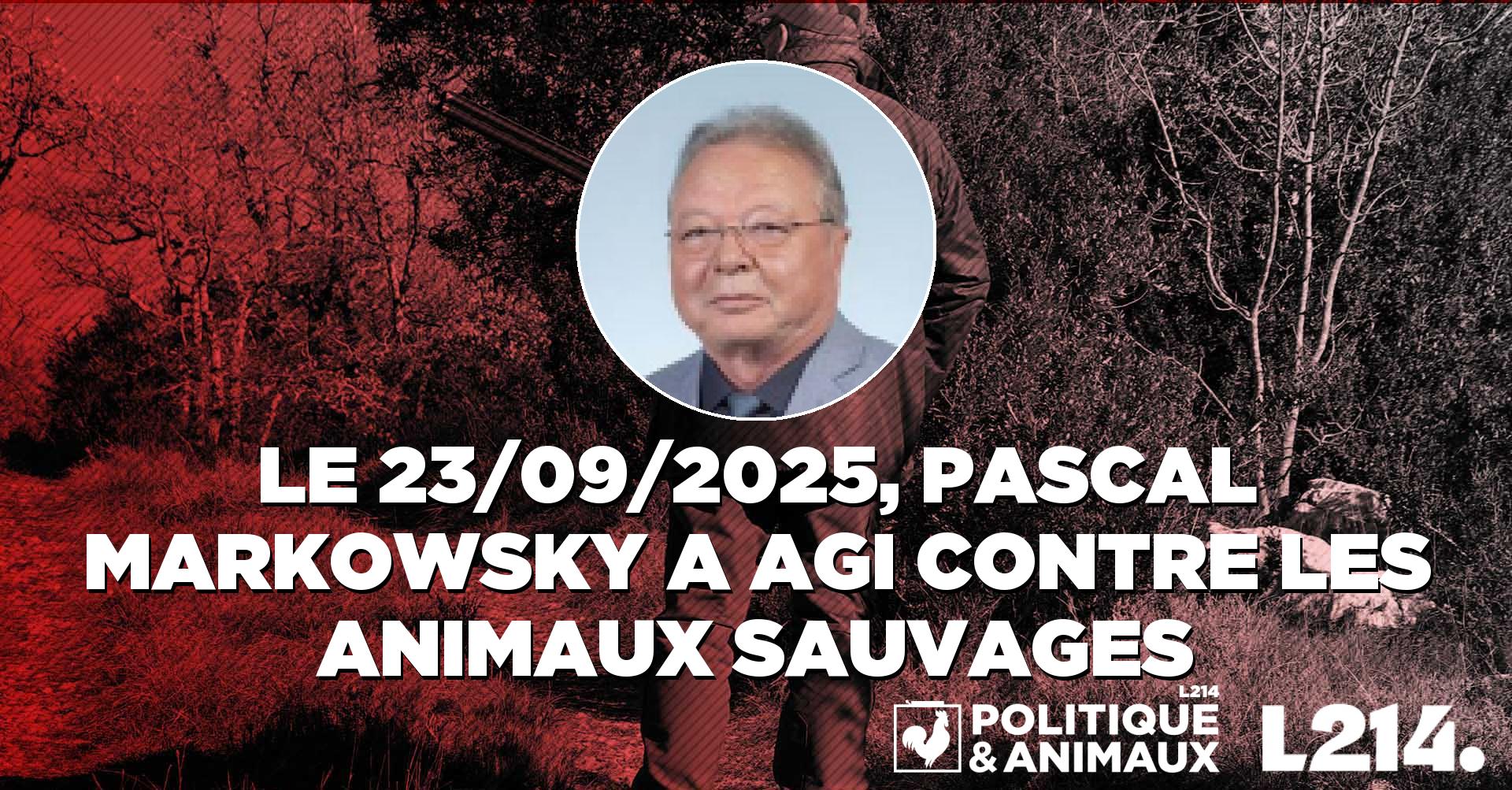 Pascal Chasseur Pascal Markowsky demande au gouvernement des mesures contre la baisse ...